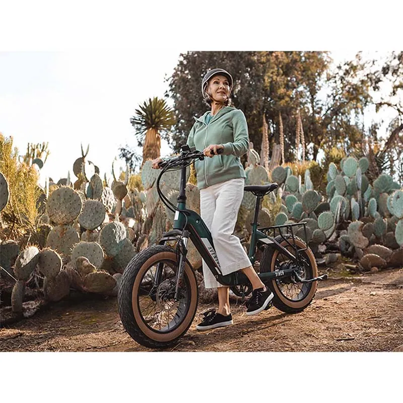 Aventon Sinch Step Through Folding Bike