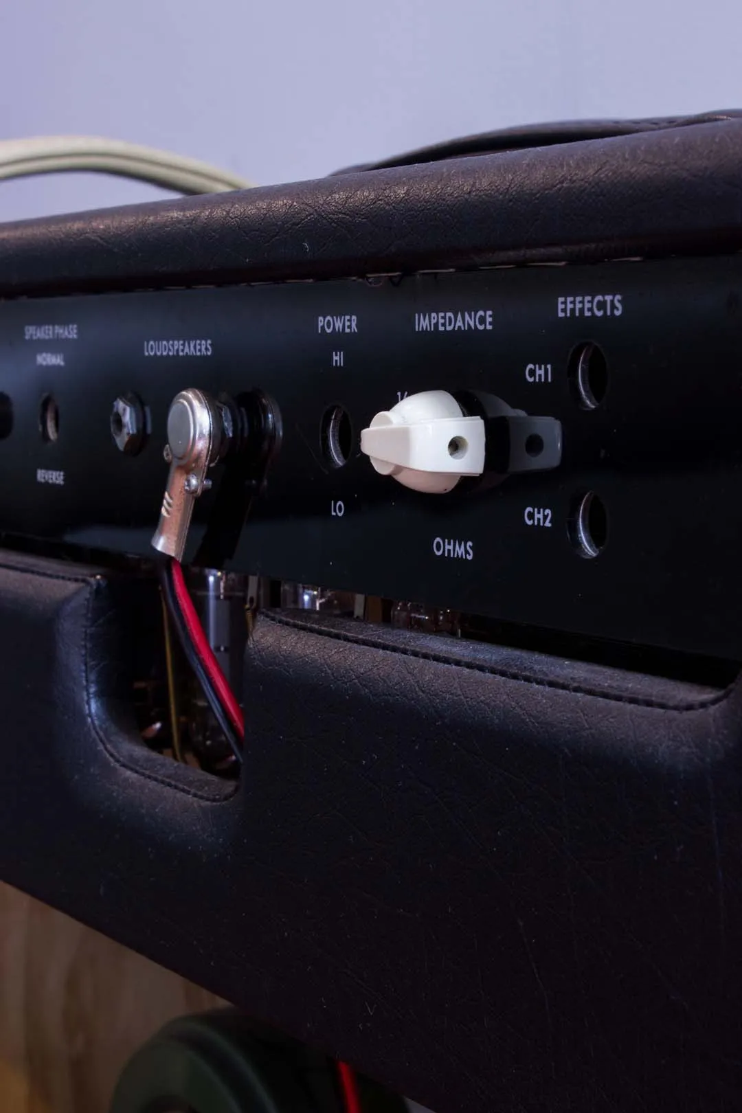 Ceriatone Muchless DZ30 Kit-Built 2x12" 30W Guitar Amp Combo