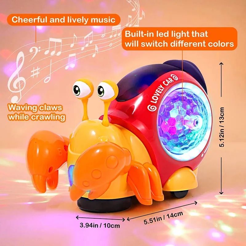 Crawling Crab and Snail Sensory Toy