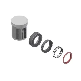 DT Swiss Ratchet EXP 36T Service Kit W/O Tool