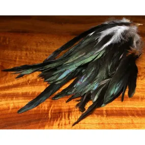 Iridescent Black Schlappen 7-9"