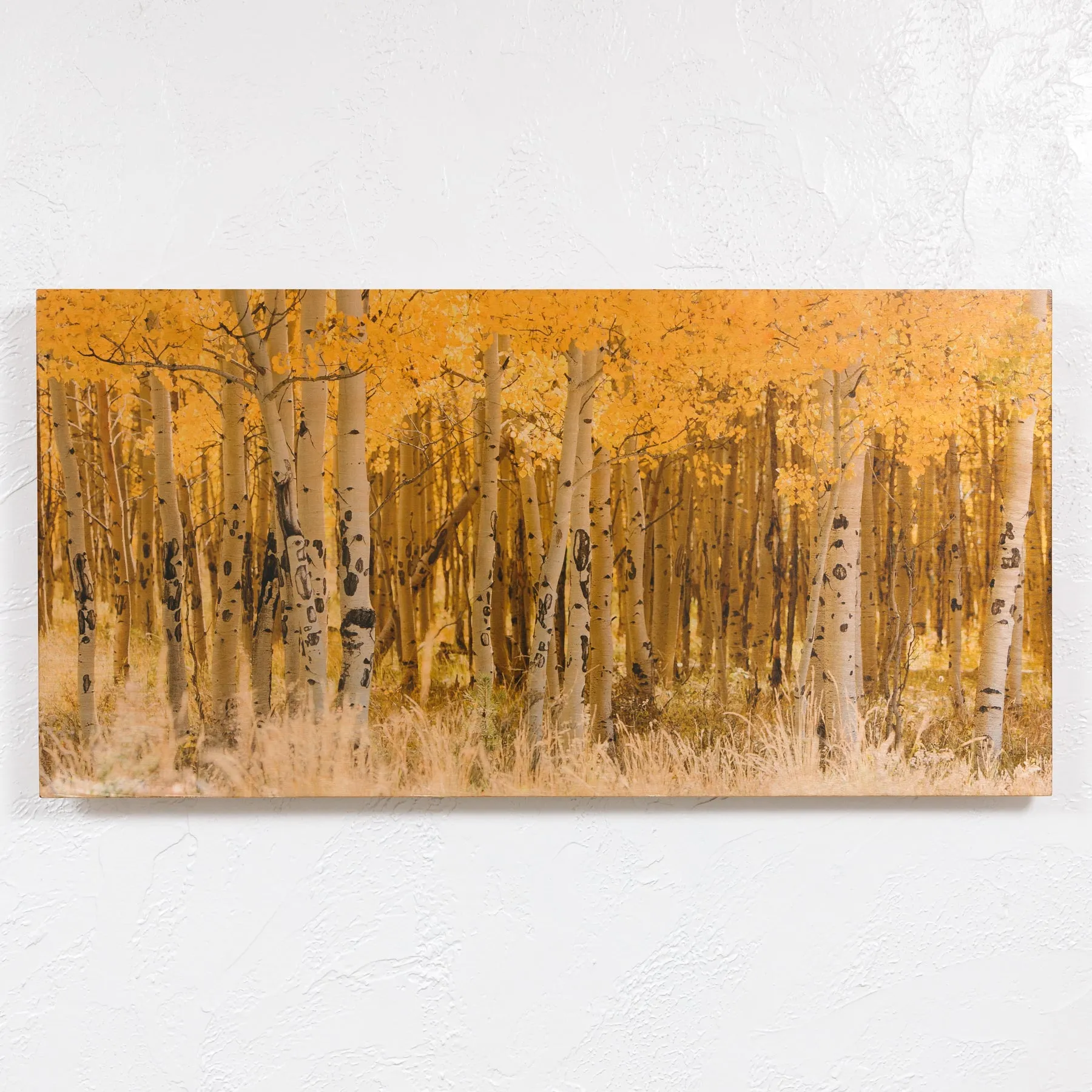Kenosha Aspens - 60 x 30