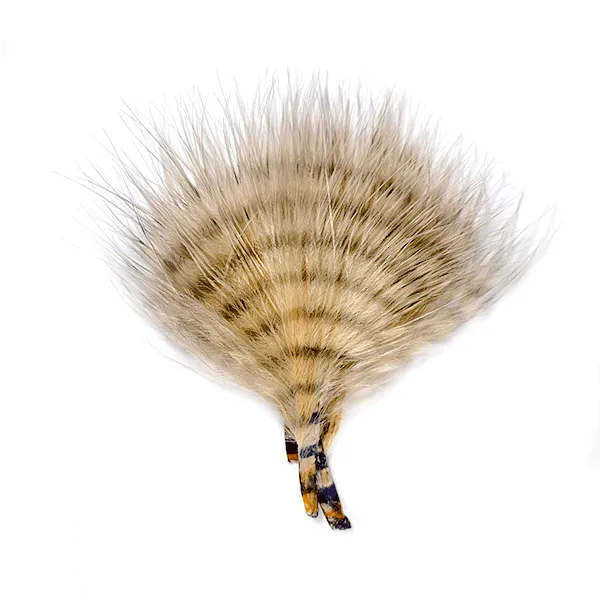 MFC Mini Barred Buggerbou