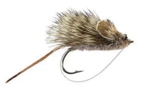 Mouse Rat