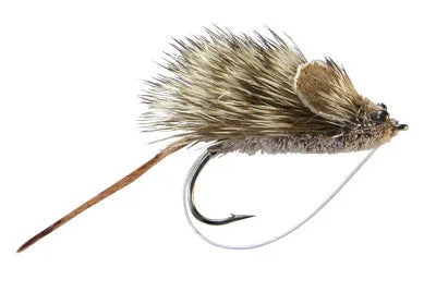 Mouse Rat