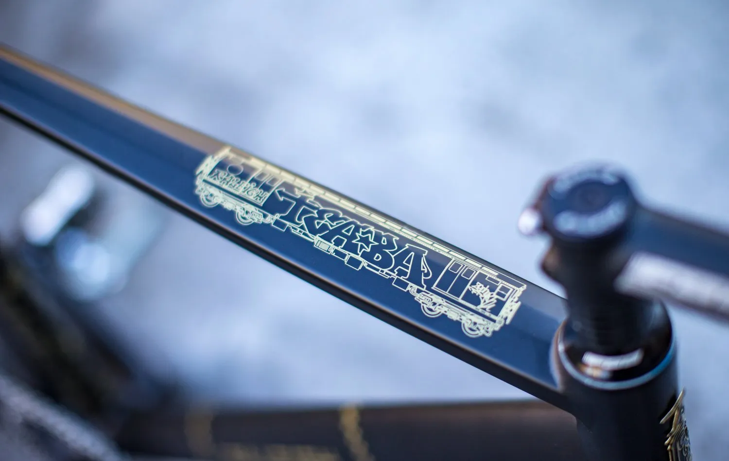 Raleigh Teaba Track Bike 2018
