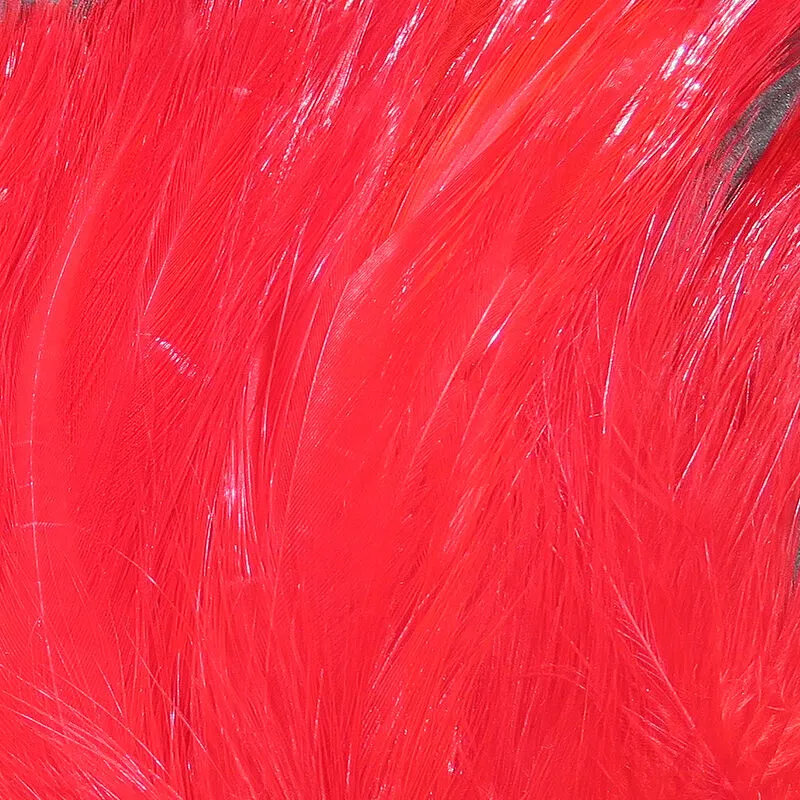 Saltwater Neck Hackle--Hareline