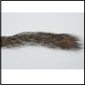 Squirrel Tail Grey
