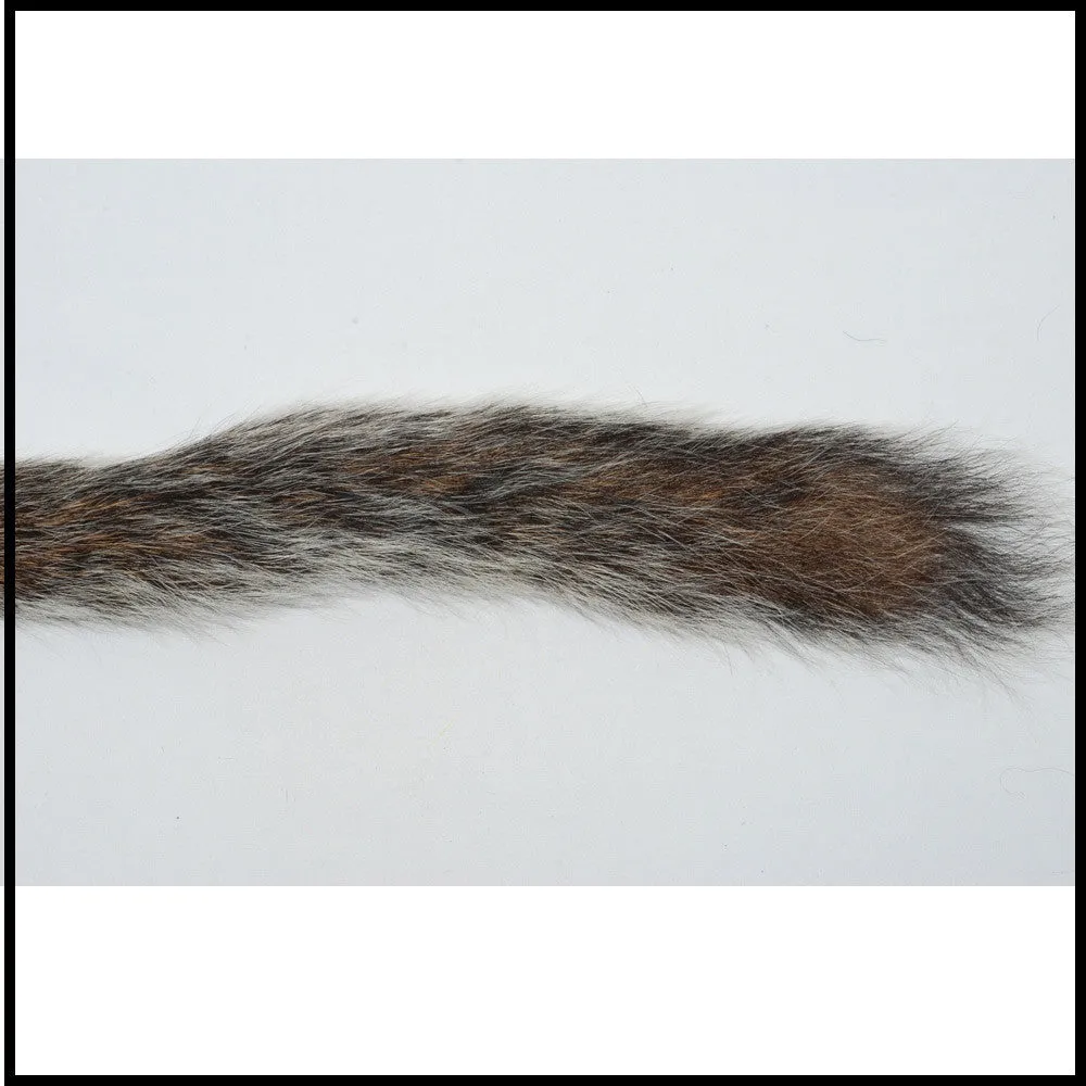 Squirrel Tail Grey
