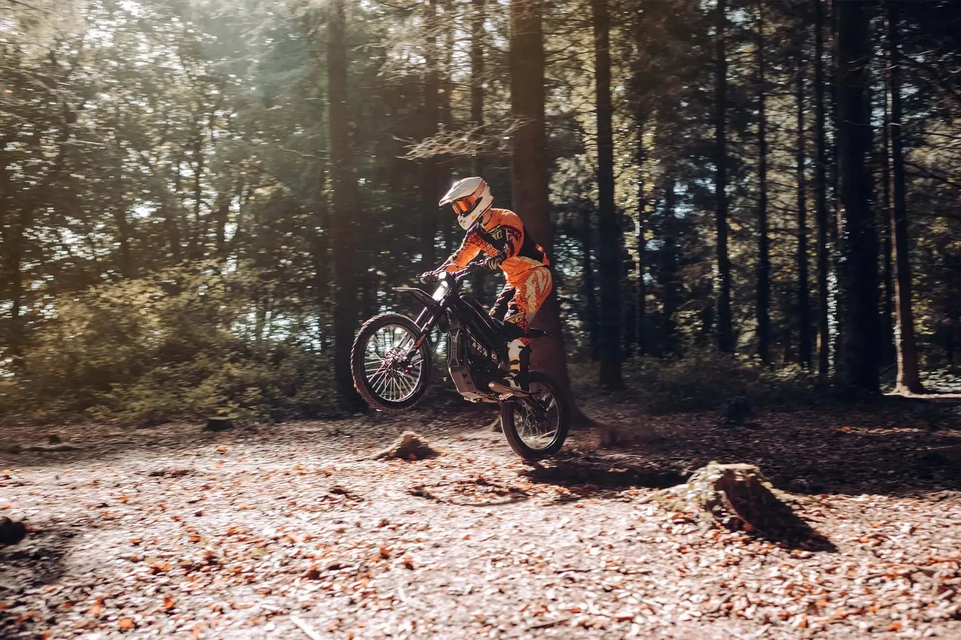 Talaria Sting R MX4