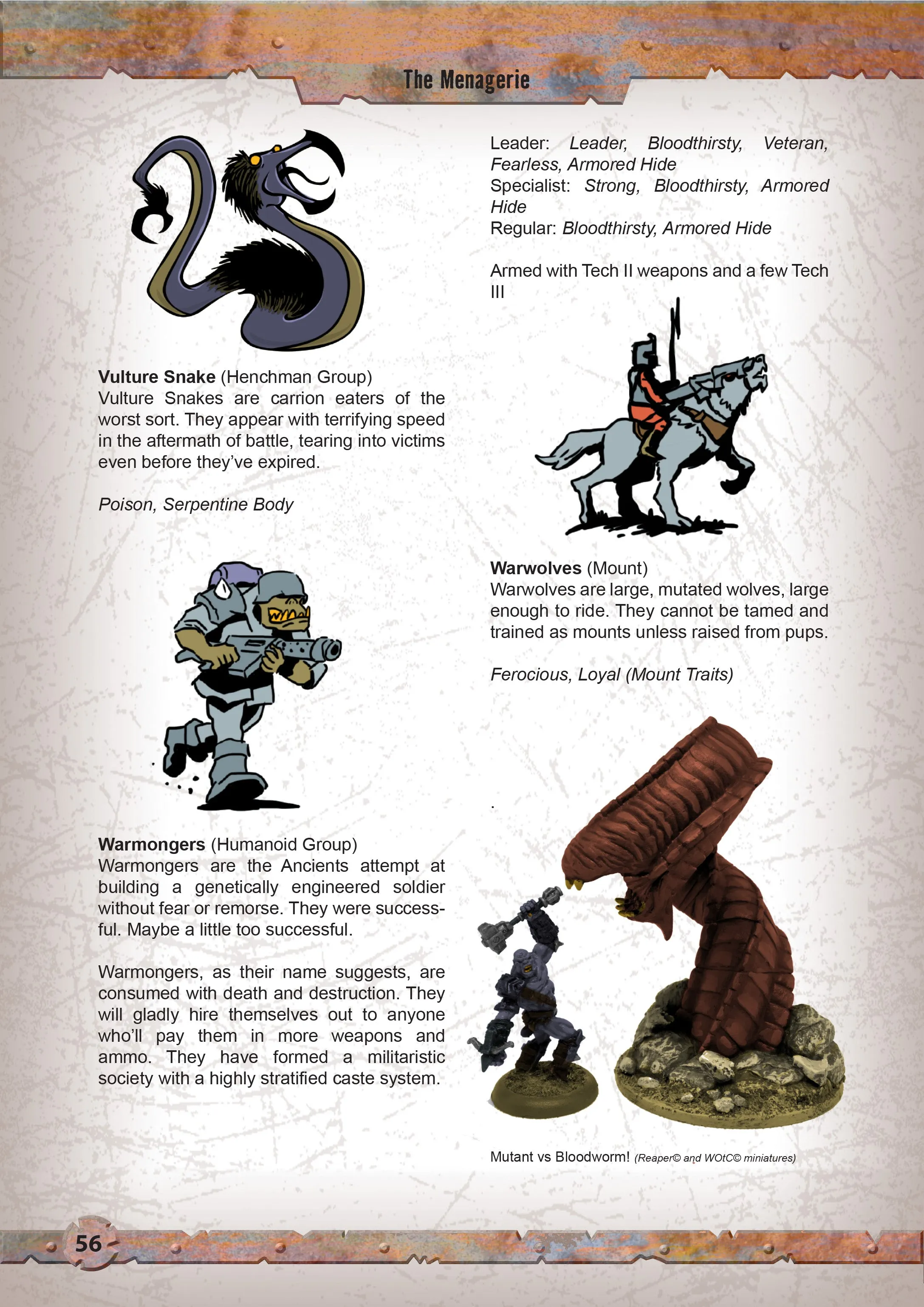 Wasteland Warriors - Printed