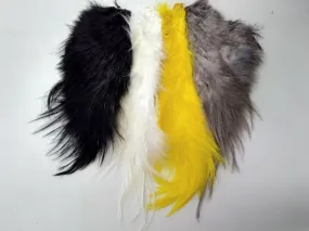 Whiting Bird Fur