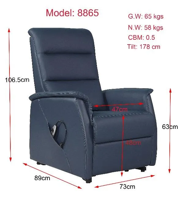 Willow Lift Recliner (2 Motor)