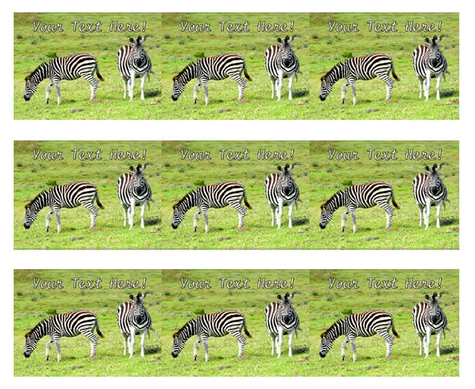 Zebra - Edible Cake Topper, Cupcake Toppers, Strips