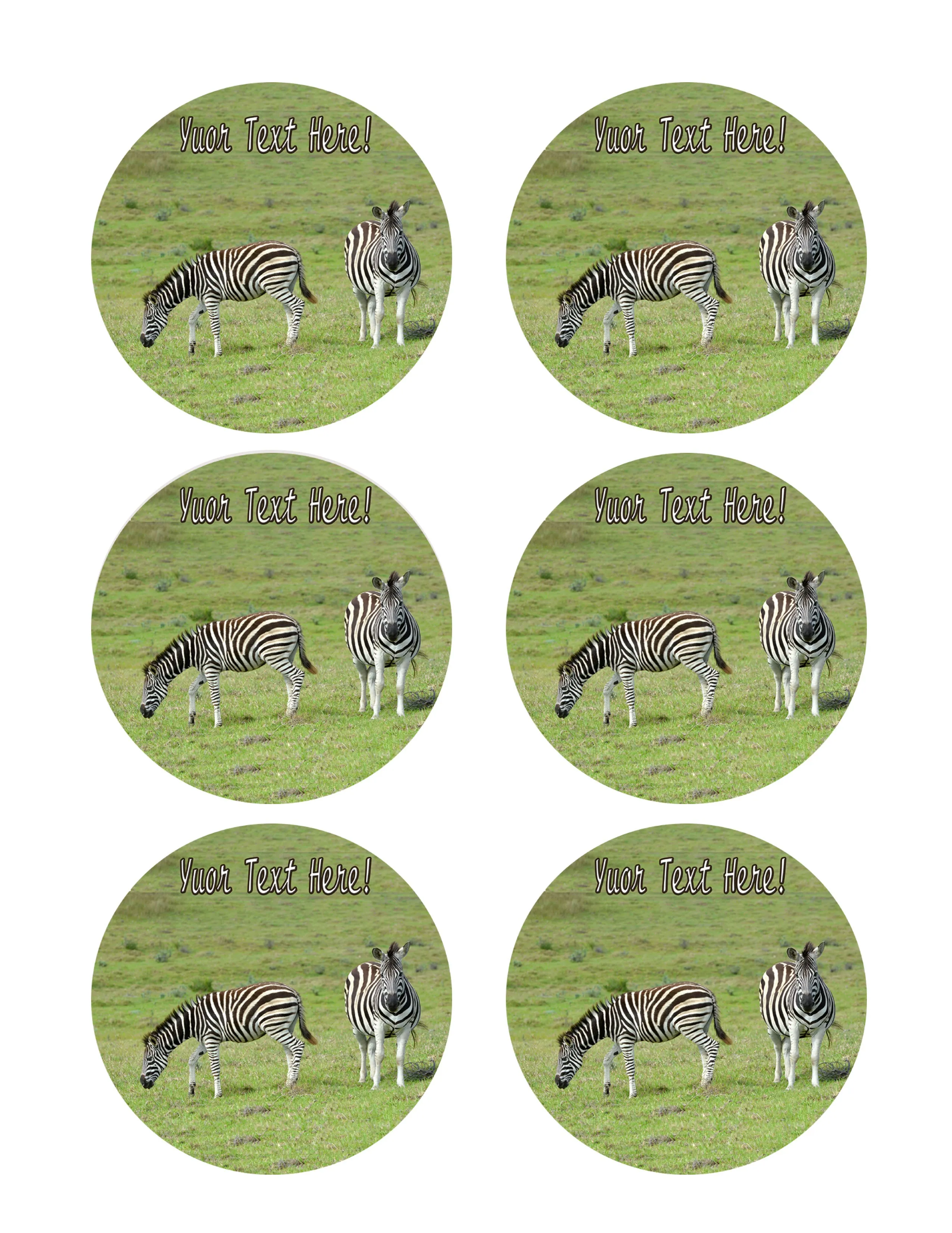 Zebra - Edible Cake Topper, Cupcake Toppers, Strips